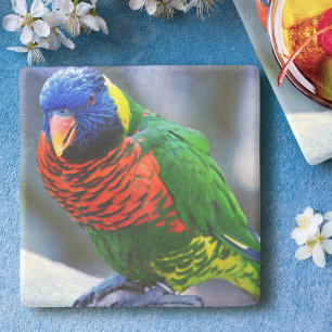 Lorikeet Red grönt gult Blue Bird-foto modern Underlägg Sten