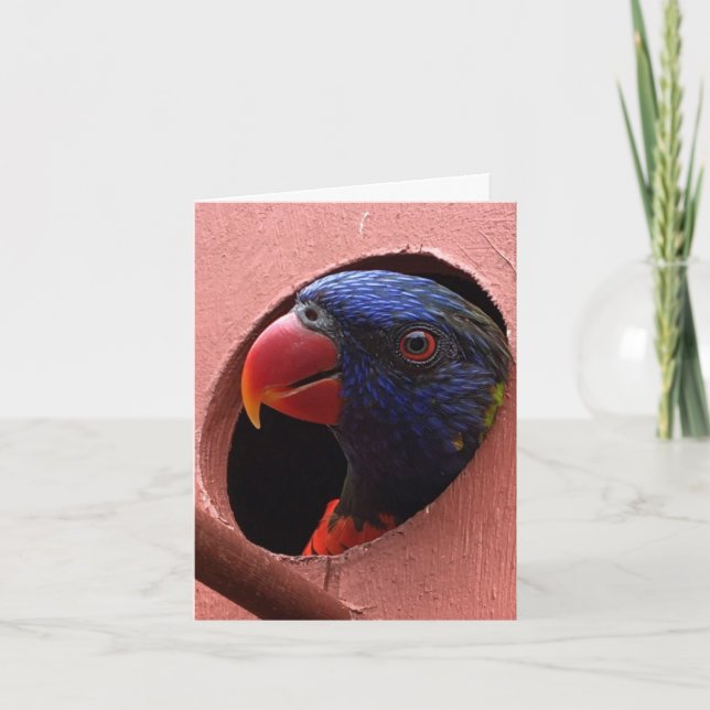 lorikeetnotecard (hejer) kort (Framsida)