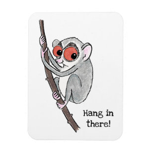 Loris "häng in där" kylmagnet magnet
