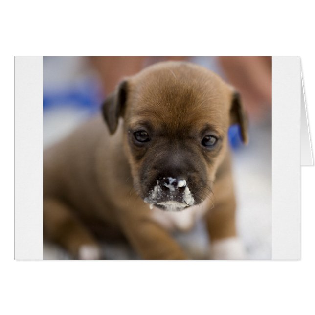 Lortig valp hälsningskort (Framsidan Horizontal)