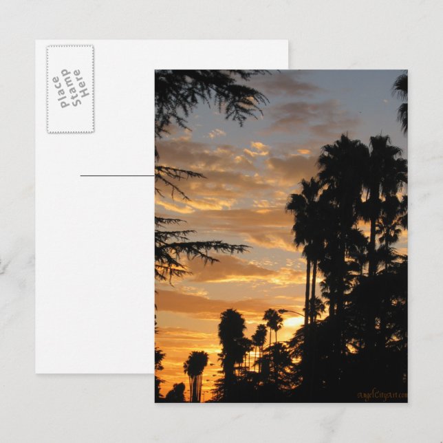 Los Angeles Handflatan Träd Sunset Postcard Vykort (Fram/baksida)