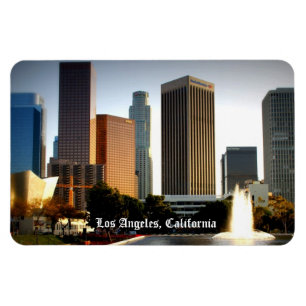 Los Angeles magnet