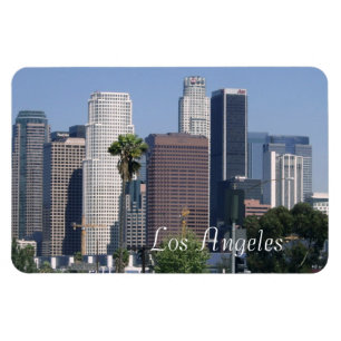 Los Angeles magnet