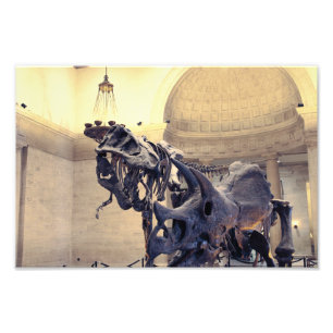 Los Angeles naturhistoriska museum Fototryck