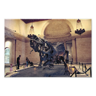 Los Angeles naturhistoriska museum Fototryck