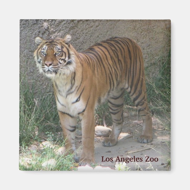 Los Angeles Zoo Magnet! Magnet (Framsidan)