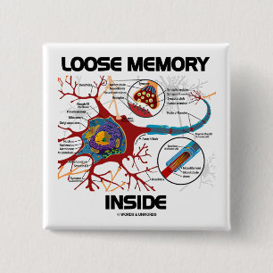 Lös minnesinsida (Neuron/Synapse) Knapp