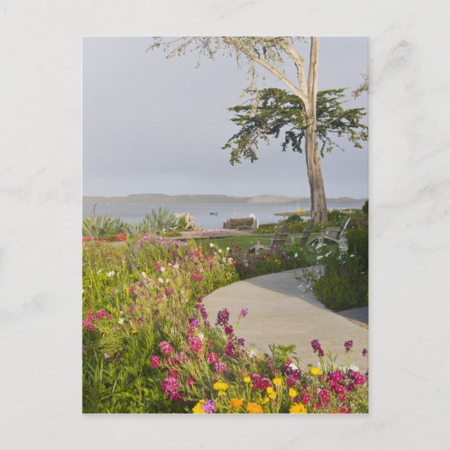 Los Osos och Baywood Park gått med Vykort (Framsida)