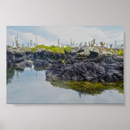 Los Tuneles, Galapagosöarna, Ecuador Poster