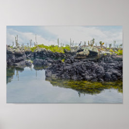 Los Tuneles, Galapagosöarna, Ecuador Poster