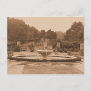 Lose Park-vykort Vykort