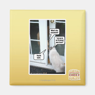 Lösenordet behar magnet