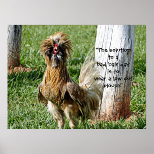 Lösningen på en dålig hårdag Humor Poster