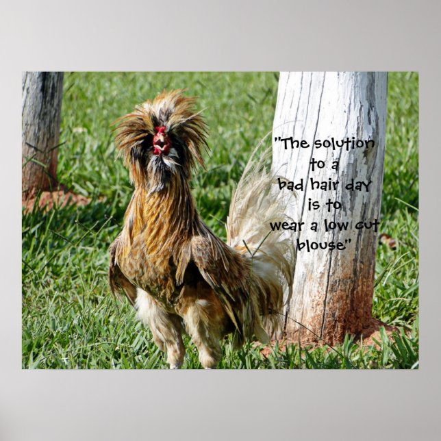 Lösningen på en dålig hårdag Humor Poster (Framsidan)