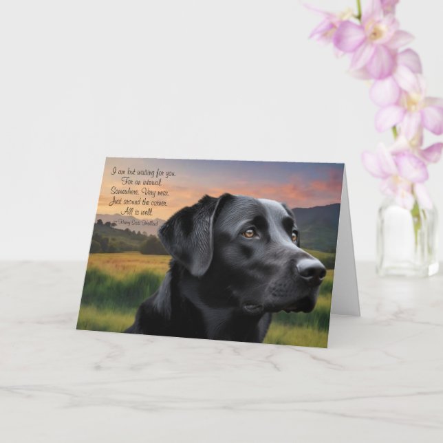Loss of Pet Dog (Black Lab) Custom Sympathy Card Kort (Orkide)
