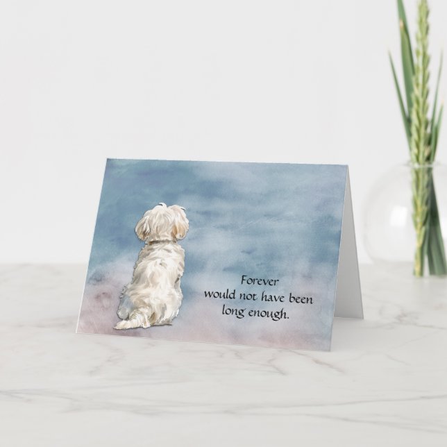 Loss of White Maltese Dog Sympathy Card Helgkort (Framsida)