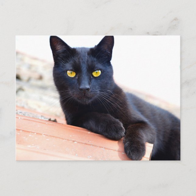 lossna runt vykort (Framsida)