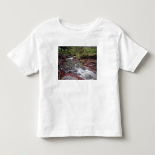 Lost Horse Creek i Waterton Lakes nationalpark Tee Shirt