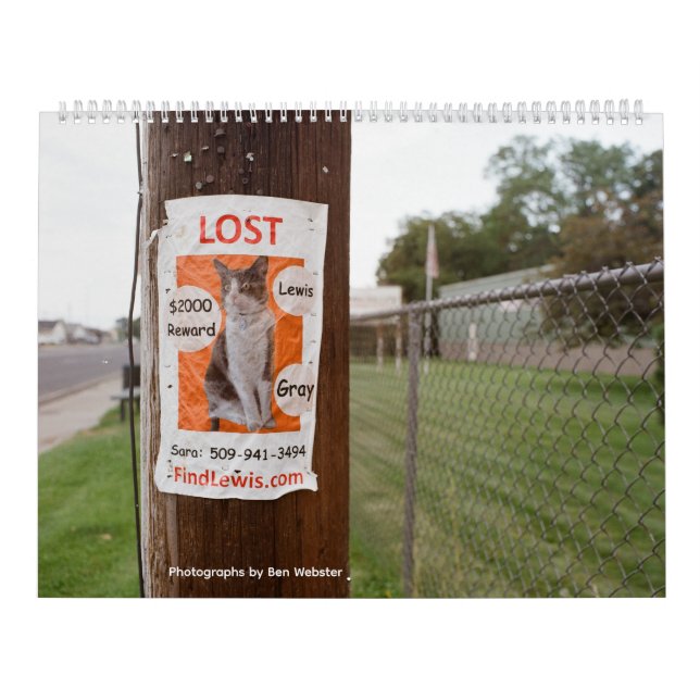 Lost Lewis Calendar Kalender (Omslag)