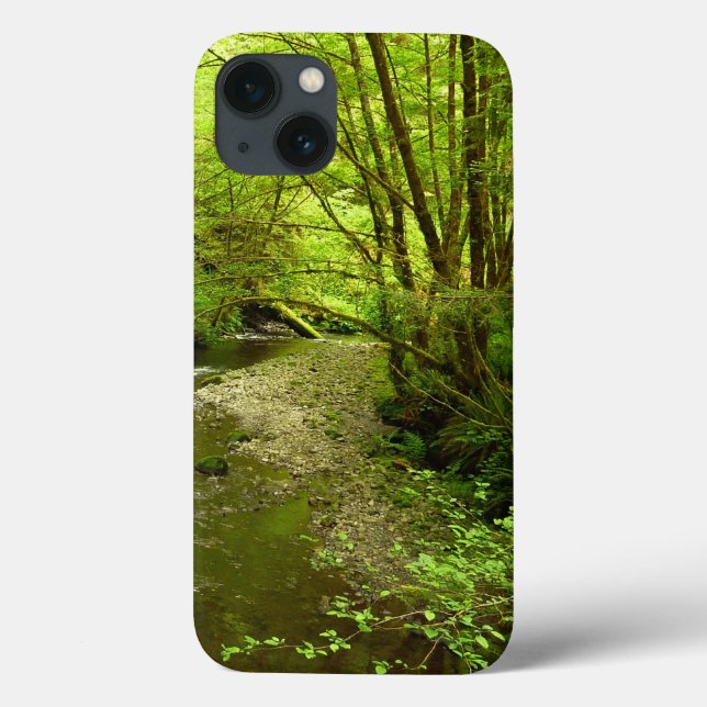 Lost Man Creek I vid Redwood National Park (Baksida)