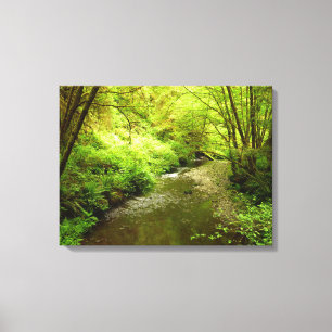 Lost Man Creek I vid Redwood National Park Canvastryck