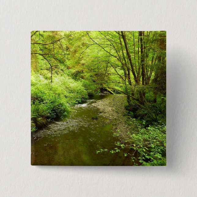 Lost Man Creek I vid Redwood National Park Knapp (Framsida)
