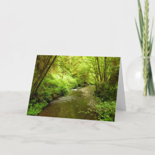 Lost Man Creek I vid Redwood National Park Kort