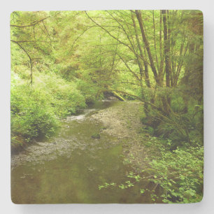 Lost Man Creek I vid Redwood National Park Stenunderlägg