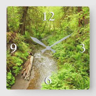 Lost Man Creek II vid Redwood National Park Fyrkantig Klocka