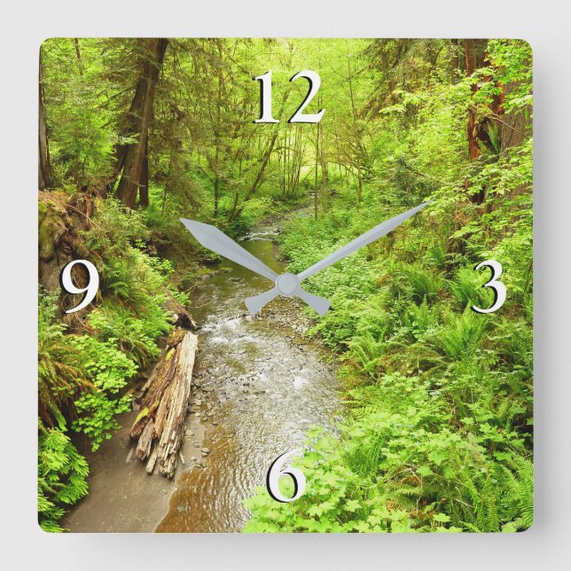 Lost Man Creek II vid Redwood National Park Fyrkantig Klocka (Framsida)