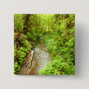 Lost Man Creek II vid Redwood National Park Knapp