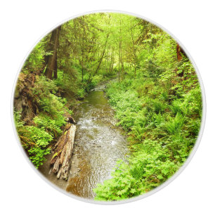 Lost Man Creek II vid Redwood National Park Knopp