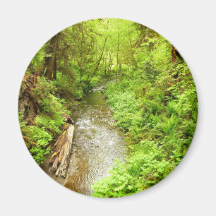 Lost Man Creek II vid Redwood National Park Magnet