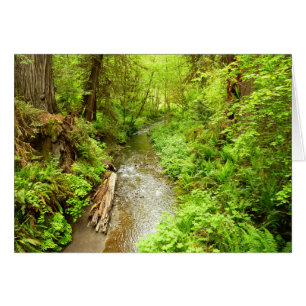 Lost Man Creek II vid Redwood National Park OBS Kort