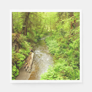 Lost Man Creek II vid Redwood National Park Pappersservett