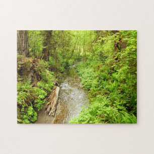 Lost Man Creek II vid Redwood National Park Pussel