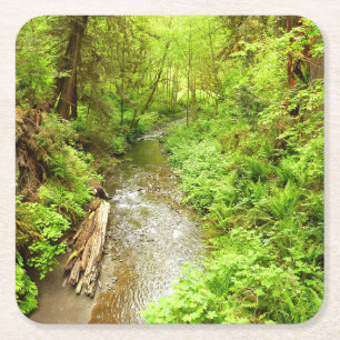 Lost Man Creek II vid Redwood National Park Underlägg Papper Kvadrat