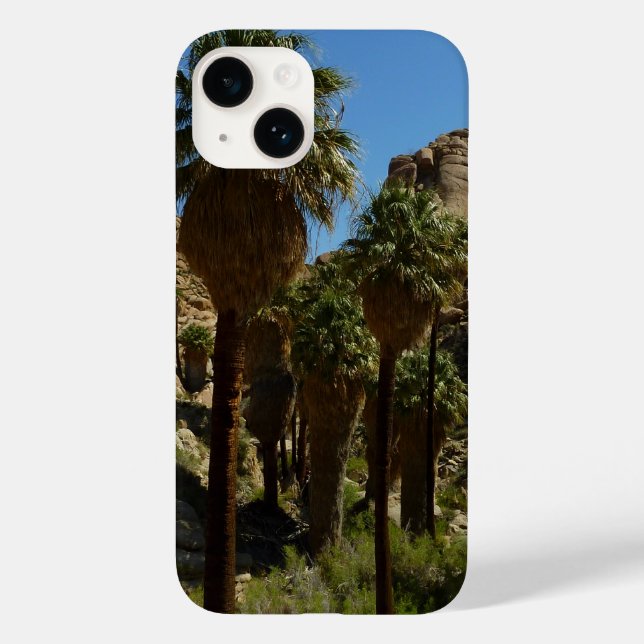 Lost Palms Oasis I vid Joshua Tree National Park (Baksida)