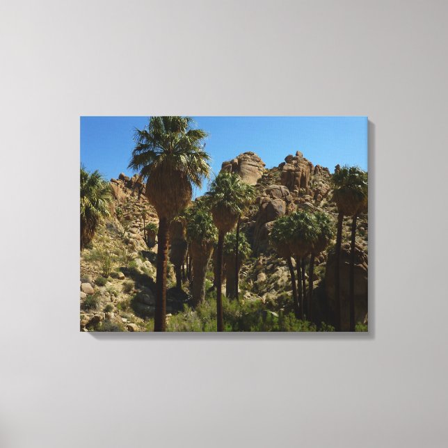 Lost Palms Oasis I vid Joshua Tree National Park Canvastryck (Framsida)