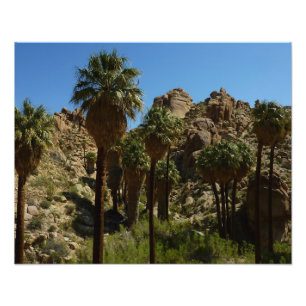 Lost Palms Oasis I vid Joshua Tree National Park Fototryck