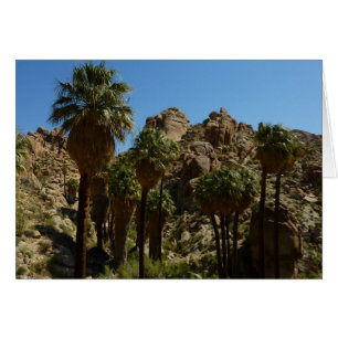 Lost Palms Oasis I vid Joshua Tree National Park Hälsningskort