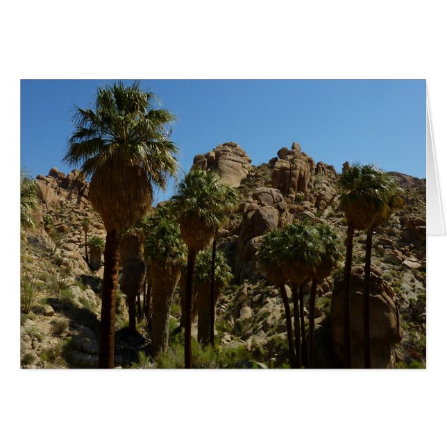 Lost Palms Oasis I vid Joshua Tree National Park Hälsningskort (Framsidan Horizontal)