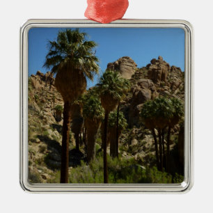 Lost Palms Oasis I vid Joshua Tree National Park Julgransprydnad Metall