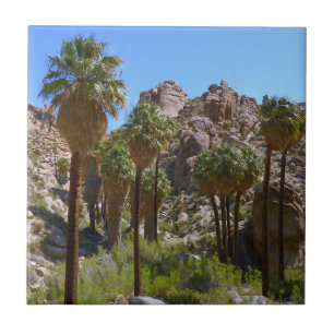 Lost Palms Oasis I vid Joshua Tree National Park Kakelplatta