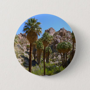 Lost Palms Oasis I vid Joshua Tree National Park Knapp