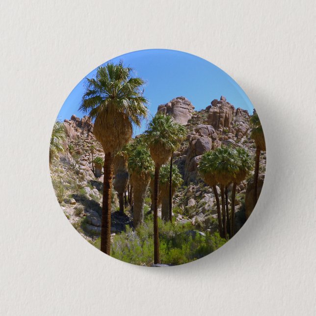 Lost Palms Oasis I vid Joshua Tree National Park Knapp (Framsida)