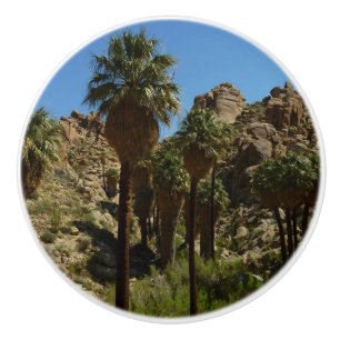 Lost Palms Oasis I vid Joshua Tree National Park Knopp