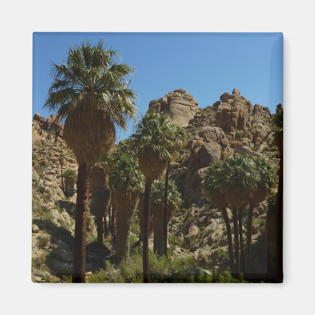Lost Palms Oasis I vid Joshua Tree National Park Magnet (Framsidan)