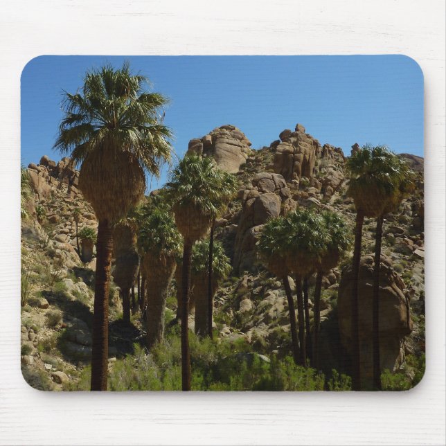 Lost Palms Oasis I vid Joshua Tree National Park Musmatta (Framsidan)