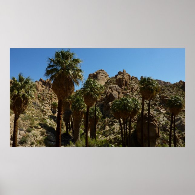 Lost Palms Oasis I vid Joshua Tree National Park Poster (Framsidan)